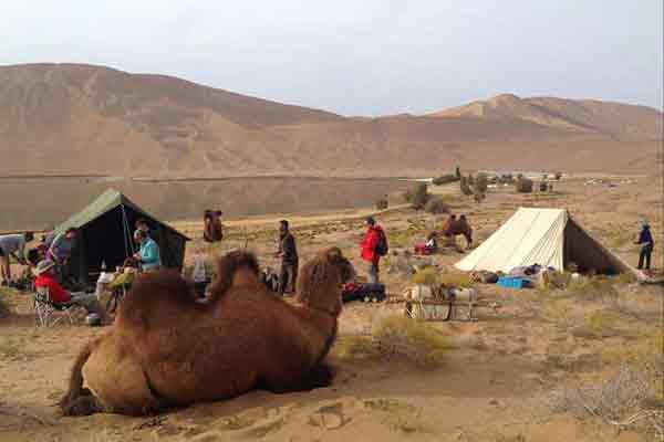 Beduinos de Arabia