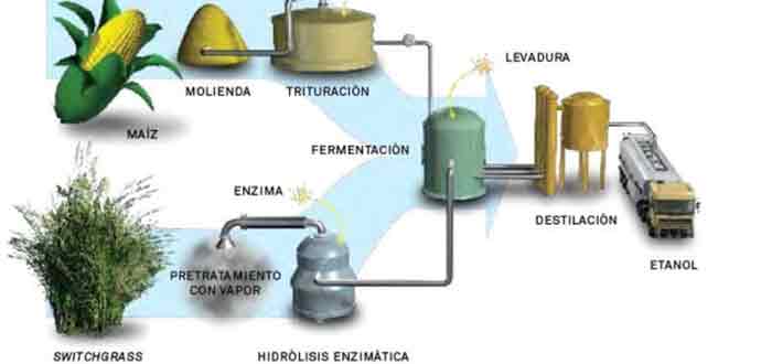 Proceso de la digestión anaerobia, biomasa