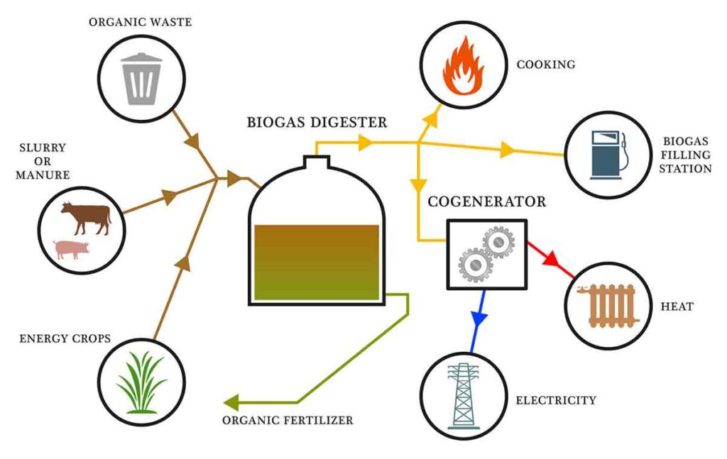 Proceso de combustión, biomasa