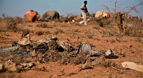 Sequías en Somalia