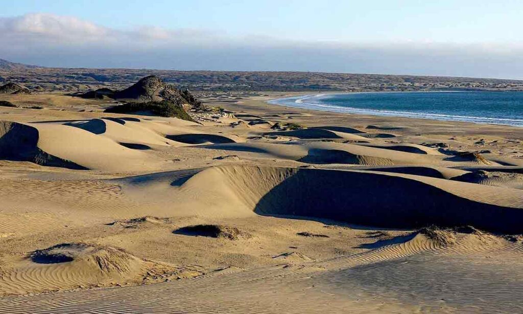 Desierto costero