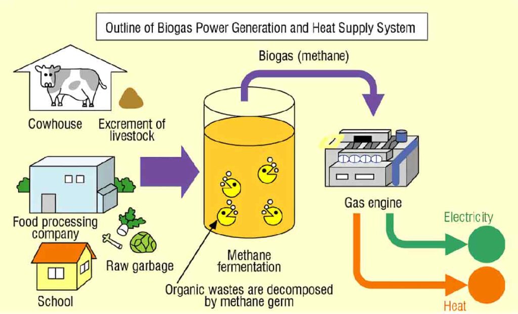 Proceso de fermentación metánica, biomasa