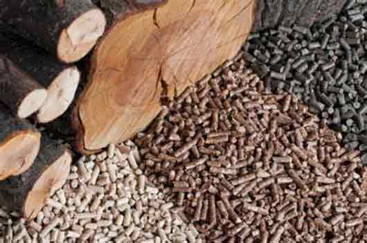 Pellets, biomasa residual seca