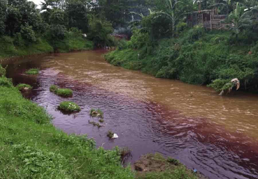 Aguas tóxicas derramadas en el Río Citarum