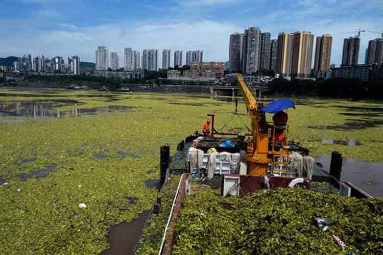 Contaminación en el Río Yangtze