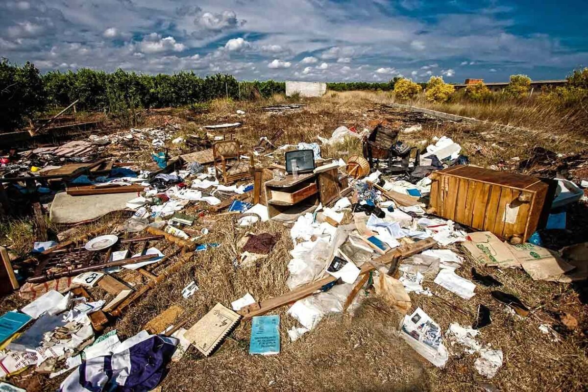 Cosas que no debes desechar en la basura - The Free Nature