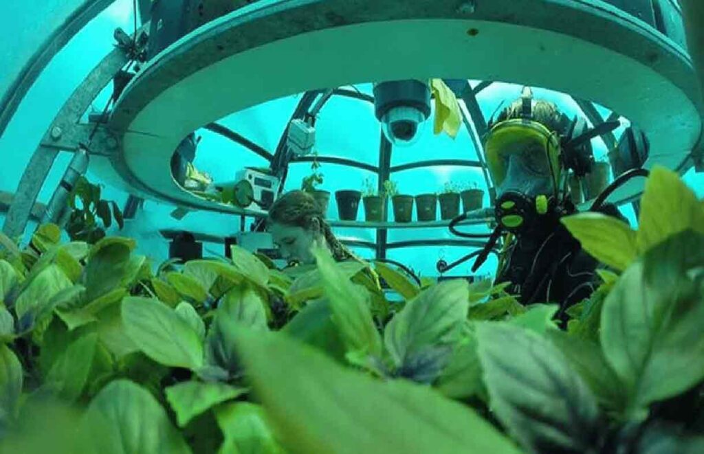 Agricultura submarina, Nemo's Garden