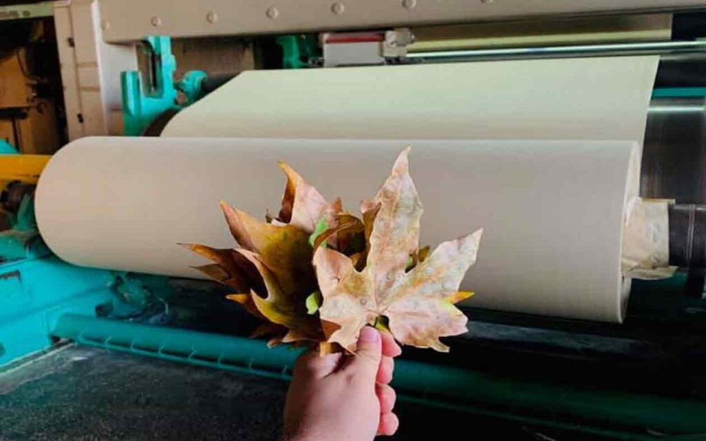 RE-Leaf Paper